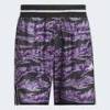 Шорты Crazy Lite AOP Adidas JV6911, прев. 5
