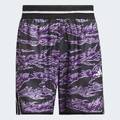 Шорти Crazy Lite AOP Adidas JV6911, прев. 5