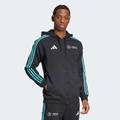 Толстовка Mercedes - AMG Petronas Formula One Team DNA Full-Zip Adidas JV5437, прев. 2