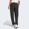 Джогеры Terrex Multi Liteflex Adidas JF3693, прев. 1
