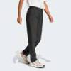 Джогеры Terrex Multi Liteflex Adidas JF3693, прев. 2