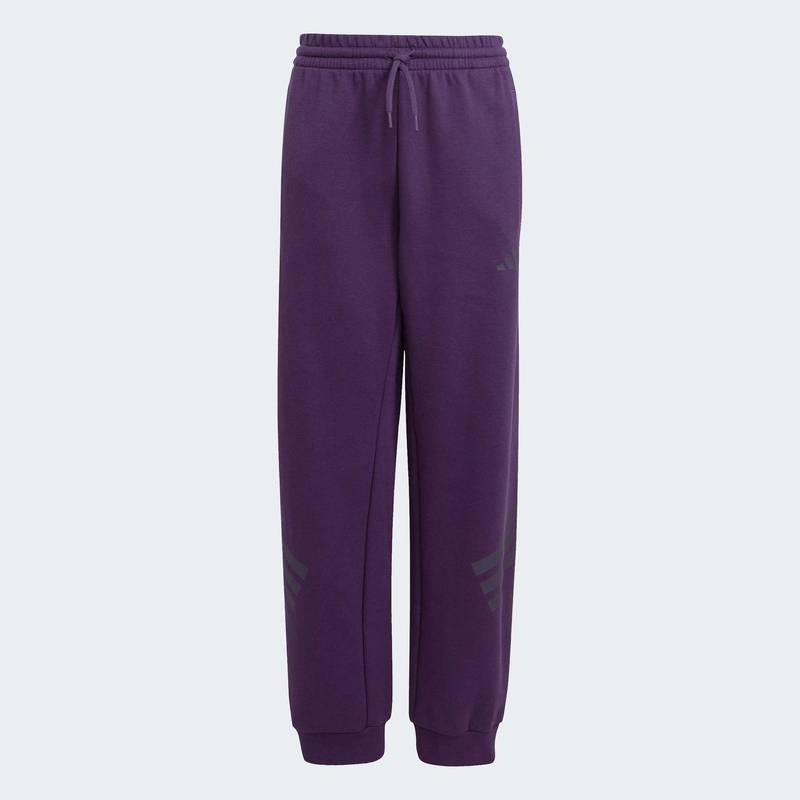 Спортивные штаны Future Icons 3-Stripes Kids Adidas JW7524, рис. 5