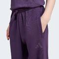 Спортивные штаны Future Icons 3-Stripes Kids Adidas JW7524, прев. 2