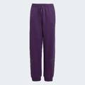 Спортивные штаны Future Icons 3-Stripes Kids Adidas JW7524, прев. 5