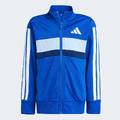 Спортивный костюм Seasonal Essentials Tiberio 3-Stripes Tricot Kids Adidas JC7512, прев. 6