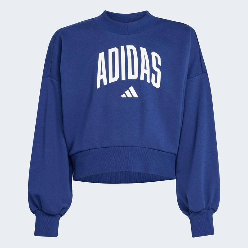 Світшот Seasonals Essentials Collegiate Typography Crewneck Kids Adidas JM1535, рис. 5