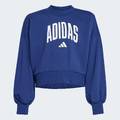 Світшот Seasonals Essentials Collegiate Typography Crewneck Kids Adidas JM1535, прев. 5