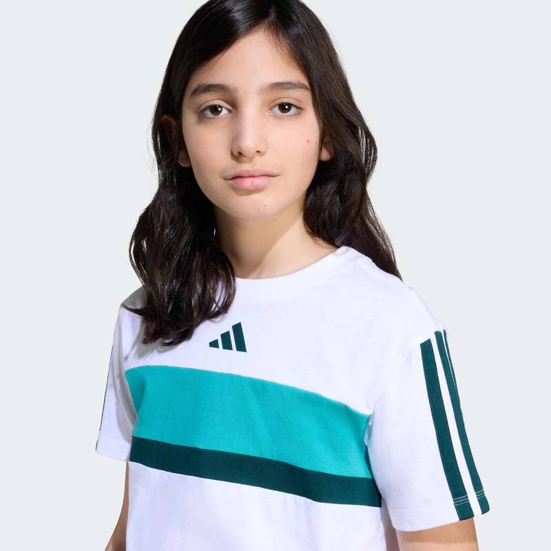 Футболка Seasonal Essentials Tiberio 3-Stripes Kids Adidas JX0192, рис. 3