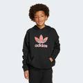 Худі Big Logo Oversized Kids Adidas JV8637, прев. 6