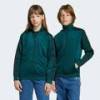 Спортивная кофта Adicolor Firebird Kids Adidas JV8588, прев. 0