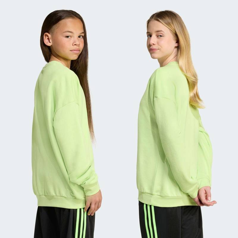 Світшот Trefoil Crew Kids Adidas JV8573, рис. 1