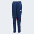 Спортивные штаны Tiro 25 Essentials Kids Adidas JD0576, прев. 5