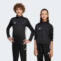 Спортивная кофта Tiro 25 Essentials Kids Adidas JD0565, прев. 0