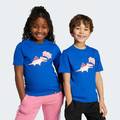Футболка Adiraptor Graphic Kids Adidas JV5075, прев. 0