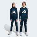 Спортивний костюм Essentials Climacool Kids Adidas JV9960, прев. 0