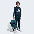 Спортивний костюм Essentials Climacool Kids Adidas JV9960, прев. 2