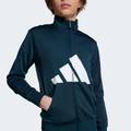 Спортивний костюм Essentials Climacool Kids Adidas JV9960, прев. 3