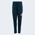 Спортивний костюм Essentials Climacool Kids Adidas JV9960, прев. 6