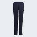 Спортивний костюм Essentials Big Logo Adidas IC5685, прев. 4