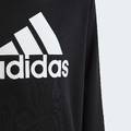 Худи Big Logo Essentials Cotton Adidas HR6380, прев. 2