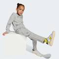 Комплект: свитшот и брюки X Smileyworld Summerset Kids Adidas JN2158, прев. 2