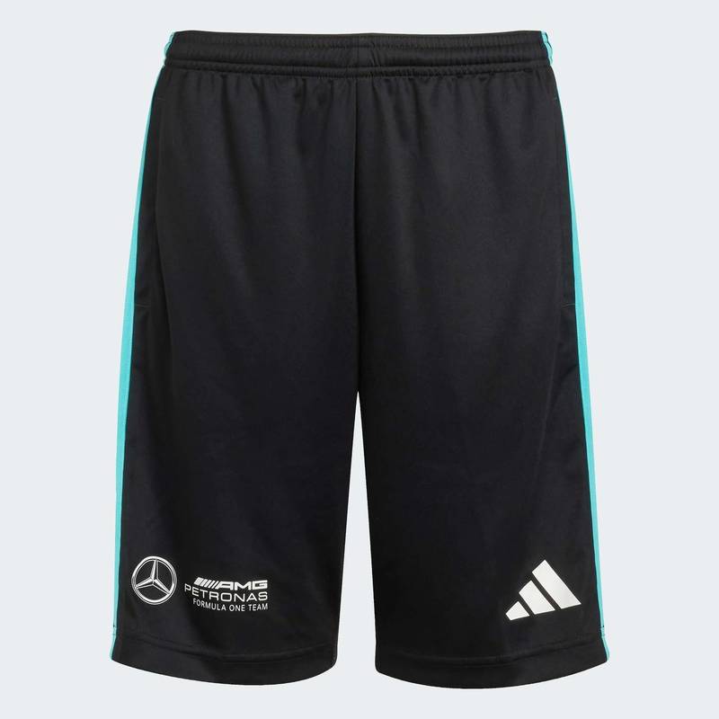 Шорты Mercedes - AMG Petronas Formula One Team DNA Adidas JV5428, рис. 0