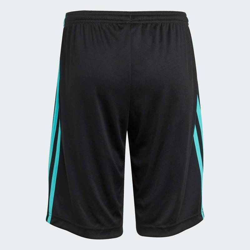 Шорты Mercedes - AMG Petronas Formula One Team DNA Adidas JV5428, рис. 1
