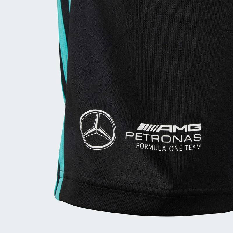 Шорты Mercedes - AMG Petronas Formula One Team DNA Adidas JV5428, рис. 4