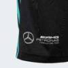 Шорты Mercedes - AMG Petronas Formula One Team DNA Adidas JV5428, прев. 4