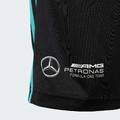 Шорти Mercedes - AMG Petronas Formula One Team DNA Adidas JV5428, прев. 4
