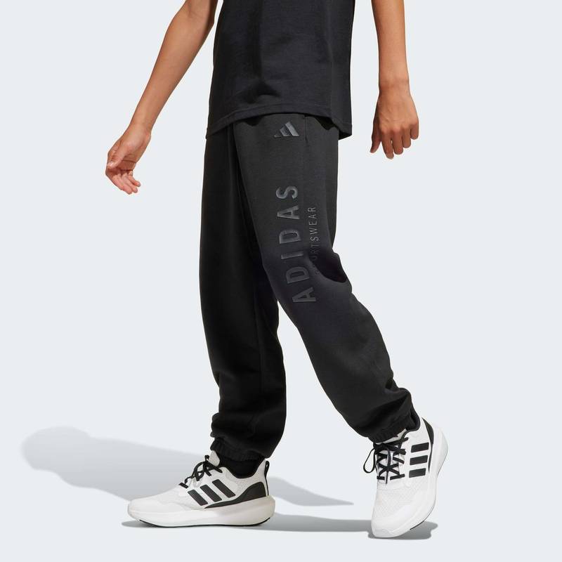 Спортивні штани J All Season GFX Kids Adidas JC7614, рис. 0