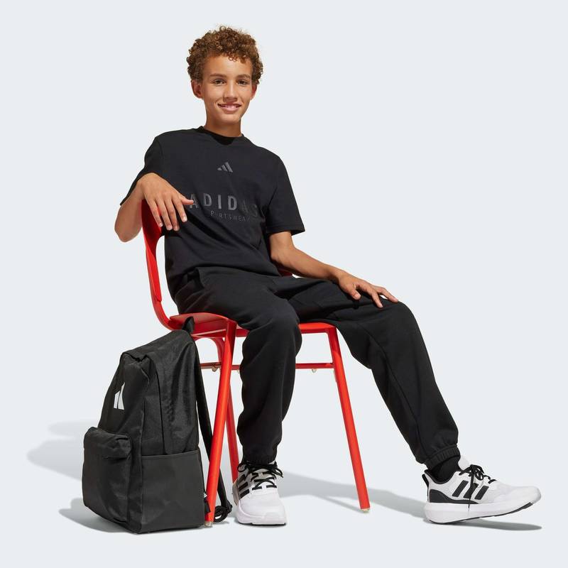 Спортивні штани J All Season GFX Kids Adidas JC7614, рис. 3