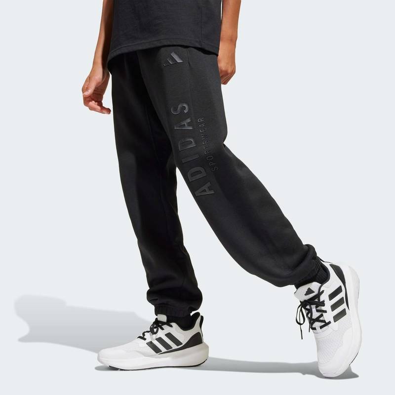 Спортивные штаны J All Season GFX Kids Adidas JC7614, рис. 2