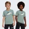 Футболка Adiraptor Graphic Kids Adidas JD3438, прев. 0