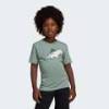 Футболка Adiraptor Graphic Kids Adidas JD3438, прев. 5