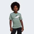 Футболка Adiraptor Graphic Kids Adidas JD3438, прев. 5