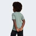 Футболка Adiraptor Graphic Kids Adidas JD3438, прев. 6