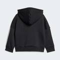 Комплект: худи и брюки Essentials Kids Adidas JD6484, прев. 2