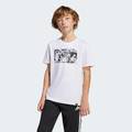 Футболка Messi Icon Graphic Kids Adidas JJ1412, прев. 0