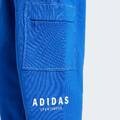 Брюки-карго ALL SZN Fleece Graphic Loose Adidas JJ3663, прев. 4