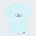 Футболка Adiraptor Graphic Kids Adidas JV5068, прев. 0