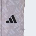 Рюкзак Linear Monogram Graphic Adidas JX1250, прев. 4