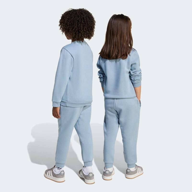 Комплект: свитшот и брюки Crew Kids Adidas JY4881, рис. 1