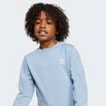 Комплект: свитшот и брюки Crew Kids Adidas JY4881, прев. 4