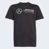 Футболка Mercedes - AMG Petronas Formula One Team DNA Graphic Kids Adidas JZ0901, прев. 0