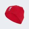 Шапка Liverpool FC Adidas JZ4449, прев. 1