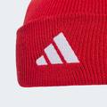 Шапка Liverpool FC Adidas JZ4449, прев. 3