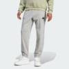 Брюки мужские Sweatpants Adidas IW3538, прев. 0