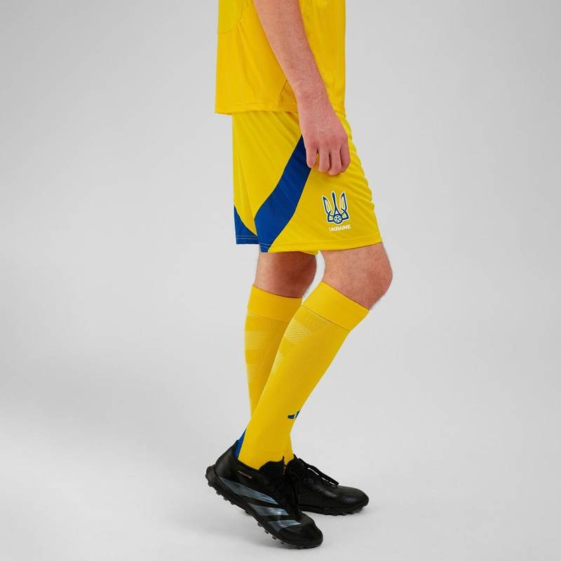Мужские домашние шорты Украина 24 Adidas IK2248, рис. 1