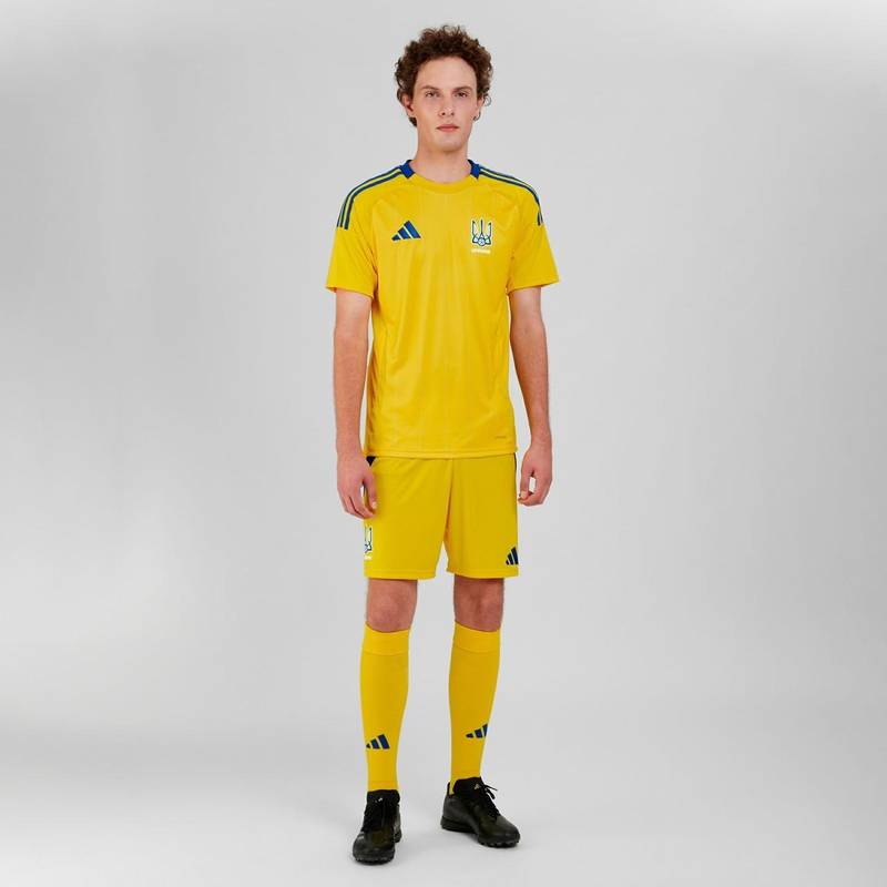 Мужские домашние шорты Украина 24 Adidas IK2248, рис. 3
